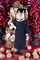 Boy Graduate 14 Inch Traditional Wooden Nutcracker, Festive Christmas Décor for Shelves and Tables